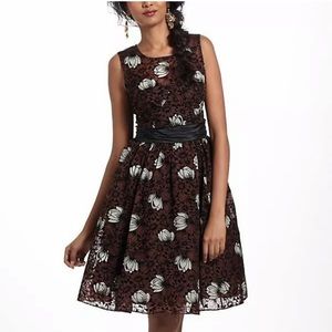 NWT Anthropologie Tracy Reese Chrysanthemum Dress
